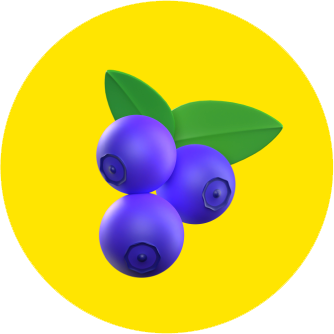 berry-icon